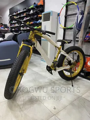 Fat Tyre Bicycle FB946