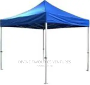 10x10 Foldable Canopy Tent