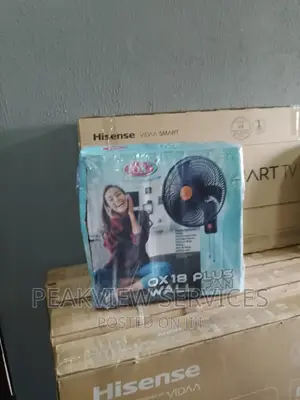 Affordable 18' Inch Ox Wall Fan (Wf1618)