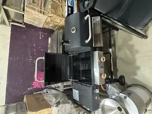 Charcoal Gas Barbecue(Bbq) Machine With Under Storage