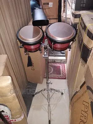 Bongo Drum