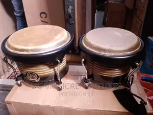Bongo Drum