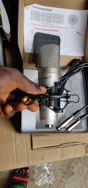 Studio Mic C1 Birdsinger