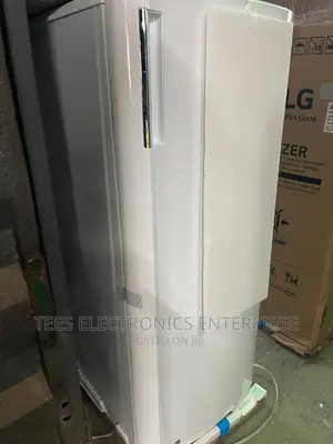 Lg 200 Liter Standing Freezer Upright | Frz 304r