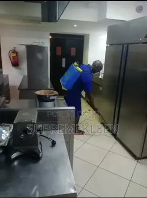 Whatever the Cleaning, Pest Control, Sofa Cleaning Service