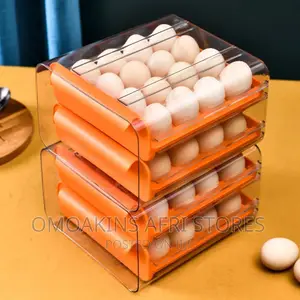 Double-Layer Storage Box Refrigerator With Egg Dropper TIW