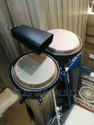 Bongo Big One
