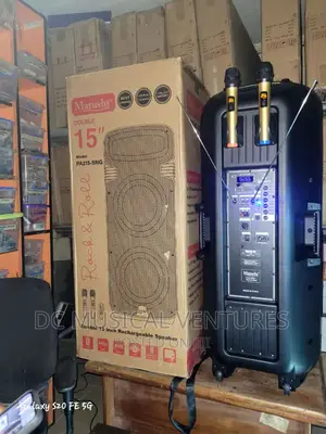 Double 15" PA System Wireless Speaker