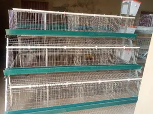 Cold Galvanized Bettry Cage
