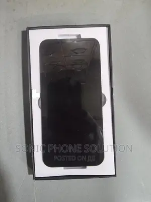 iPhone 12 Pro Max Screen (Gx)