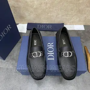 Christian Dior Luxury Shoe