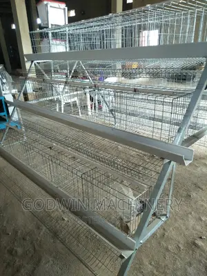 Hot Galvanized Battery Cage 120 Capacity