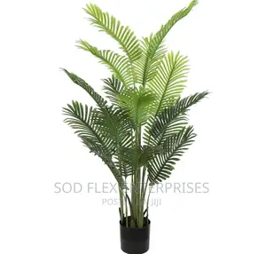Palm Imported Flower