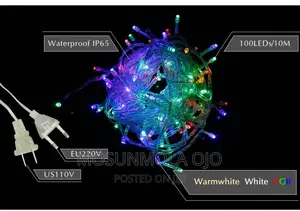Christmas Multi Function 100 Led Lights - RGB