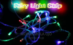 Christmas Multi Function 100 Led Lights - RGB