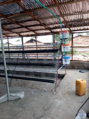 Poultry Cage