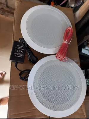 30watts Bluetooth Pop Ceiling Speakers