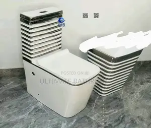 Watercloset With Hanging Basin