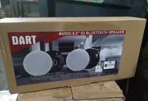 Dart Audio 6.5" *2 Bluetooth Speaker