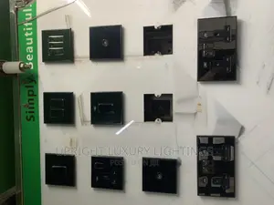 Schneider Black Switches/Socket