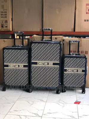 Christian Dior Louis Vuitton Light Metal Luggage 3in1