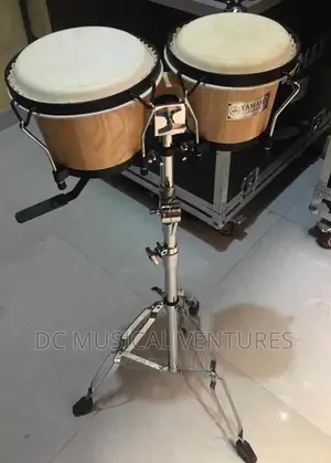Bongo Conga Drum