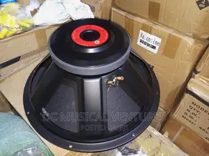 18" Naked Speaker