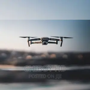 Drone Pilot