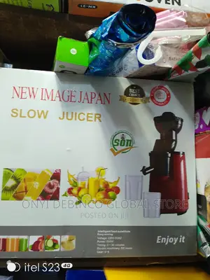 New Image Japan Multifunctional Slow Juicer