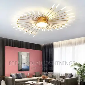 Creative L E D Ceiling Chandelier Light, Firework Shap