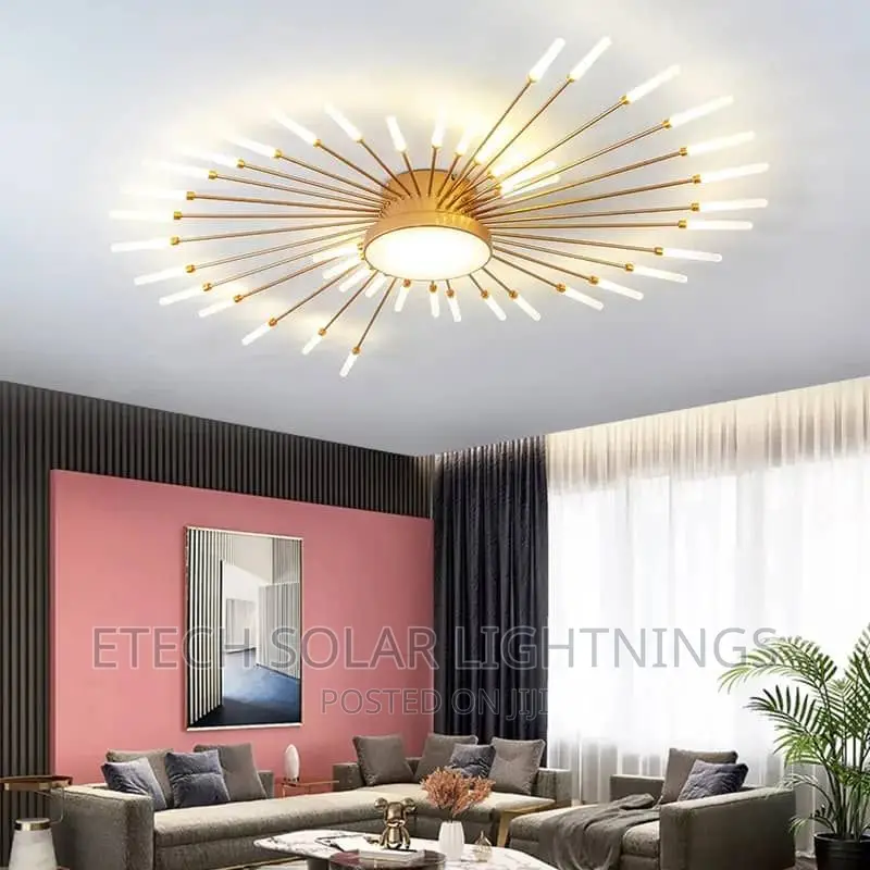 Creative L E D Ceiling Chandelier Light, Firework Shap