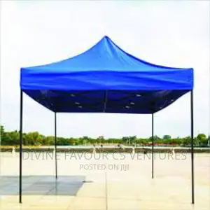 10 X10 Foldable Canopy Tent