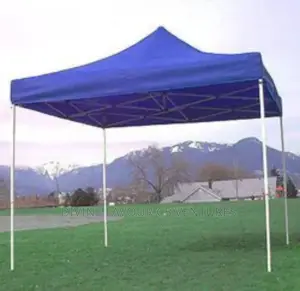 10*10 Foldable Canopy With One Side Wall.