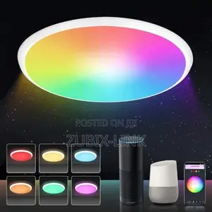 Smart Wi-fi Ceiling Light With Main Light And RGB Atmosphere