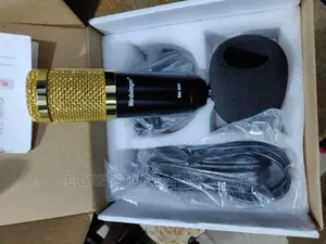 Birdsinger Bm800 Studio Mic