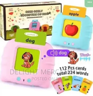 Kids Children Rechargeable Reading Talking Flash Cards