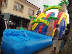 Children Sliding Castle With Pool Combo