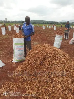 Farm Setup and Consultancy Services