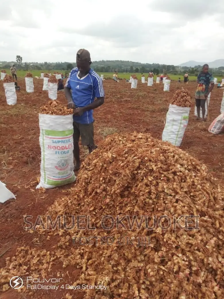 Farm Setup and Consultancy Services