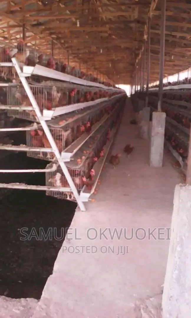 Farm Setup and Consultancy Services