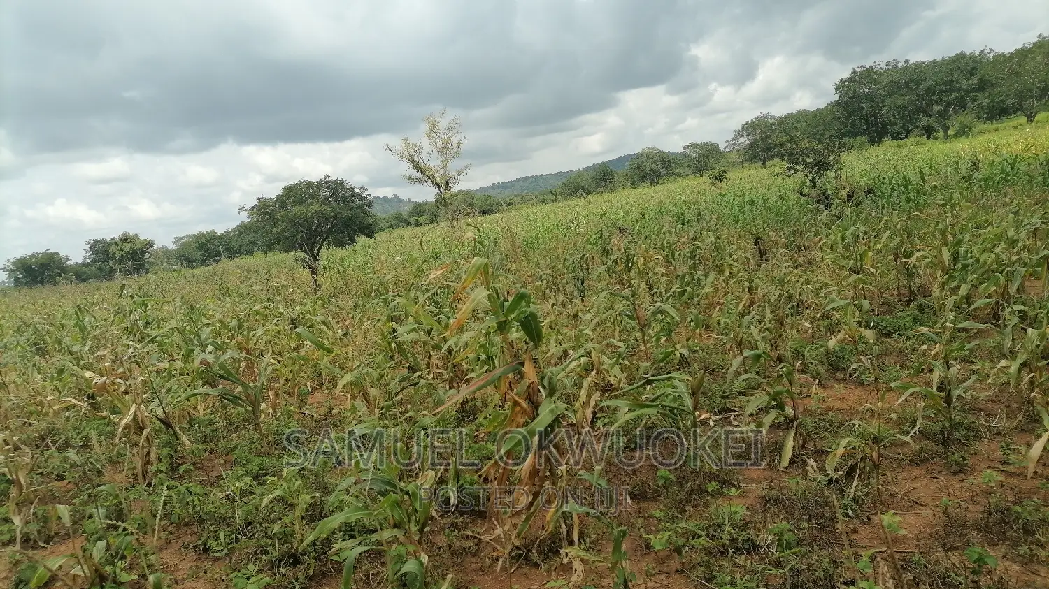 Farm Setup and Consultancy Services
