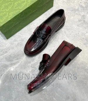Luxury Gucci Shoe