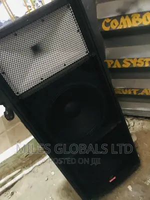 Professional Full Range Speaker