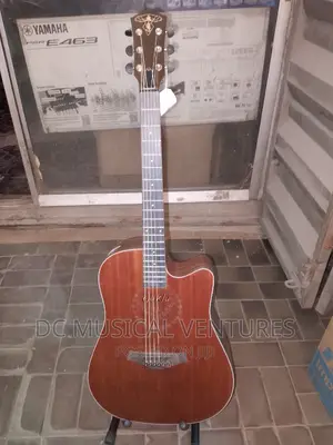 Semi Acoustic Box Guitar
