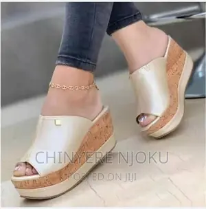 Slippers Shoe