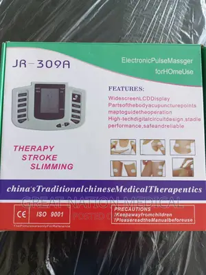 Electronic Pulse Massager