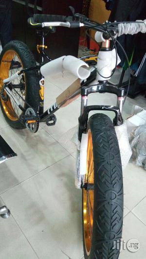 Big Bicycle
