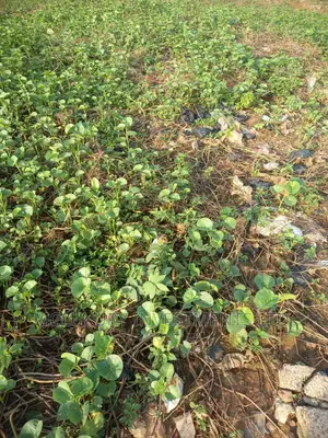 Lovely 8 Acres Land Situated at Lagos/Ibadan Expressway.