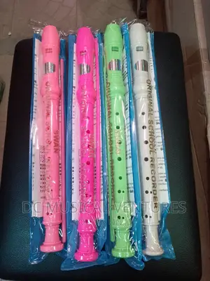 Flute Recorder Player