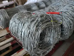 Foreign Galvanized Barb Wire (100m 200m)